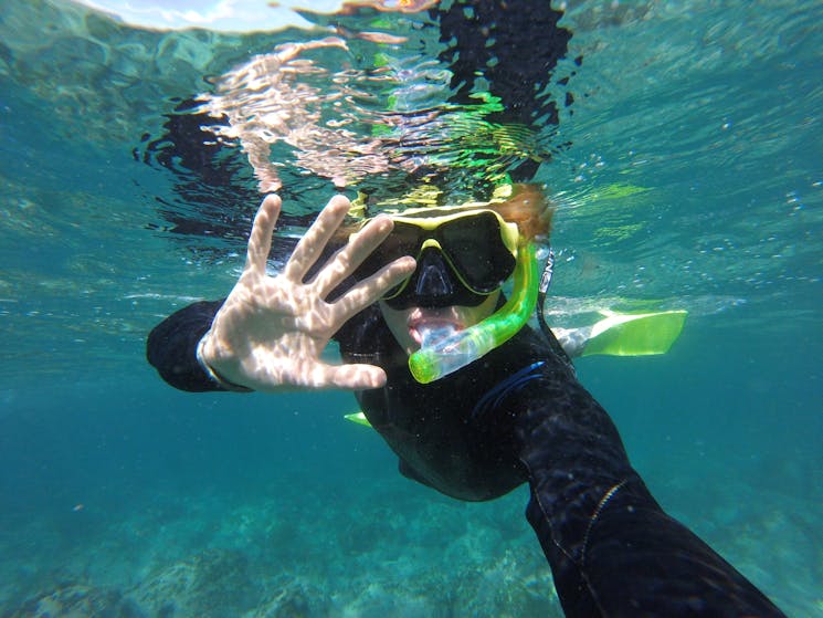 Manly snorkel tour