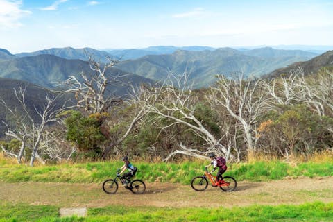 Whalebone 36 b077906275659bf4b5f29f0ff7907e62