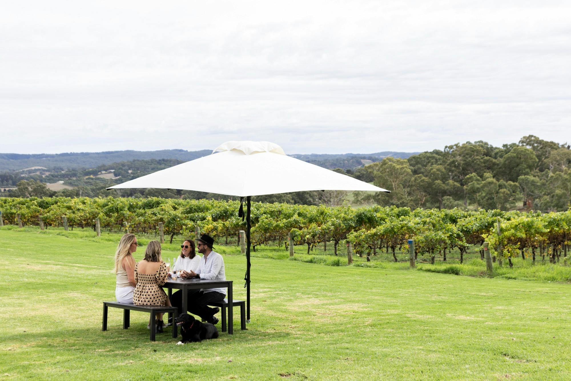 Table and umbrella wine sitting on lawn outside