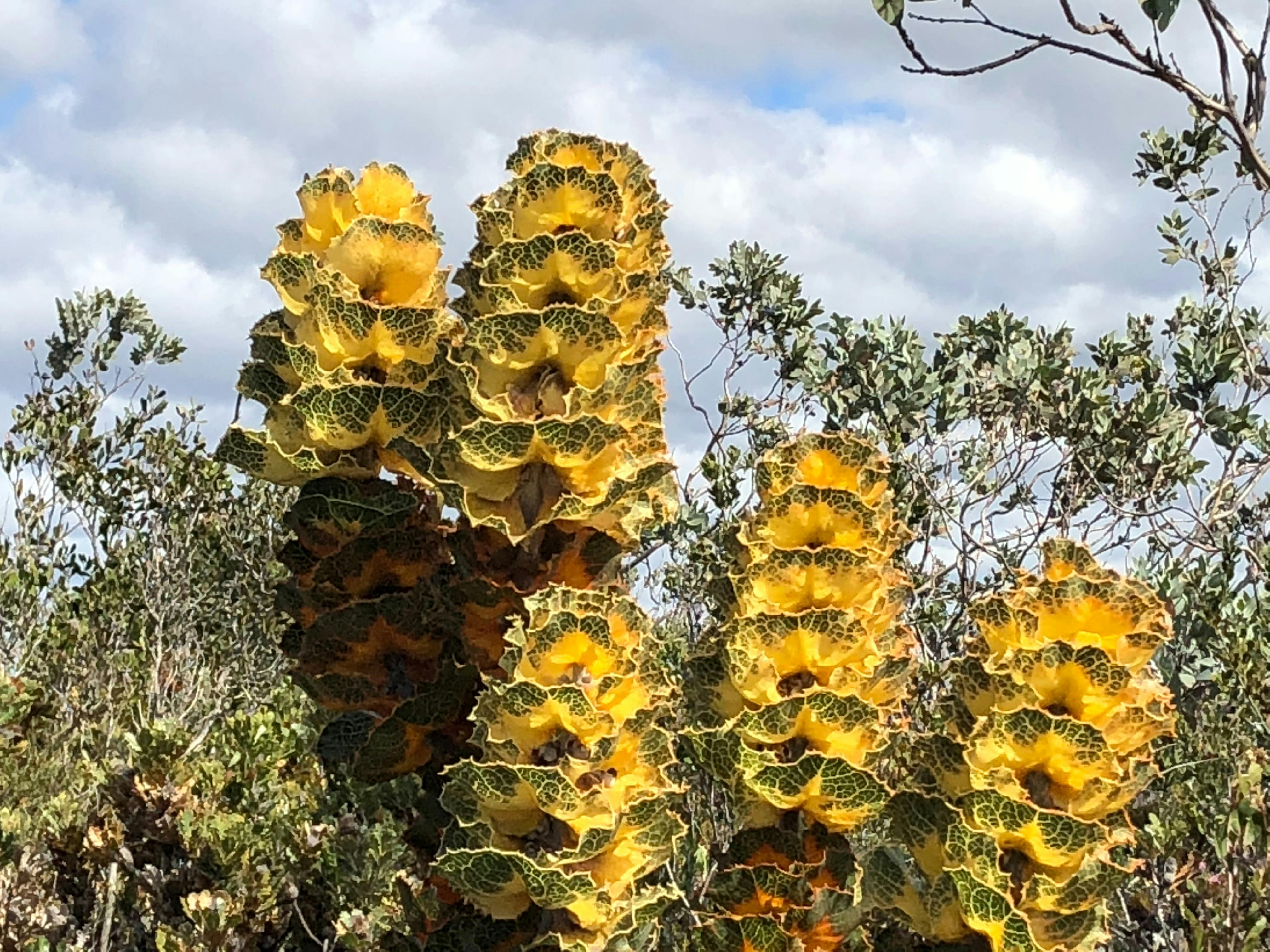 Luxury Outback Tours, Perth, Western Australia