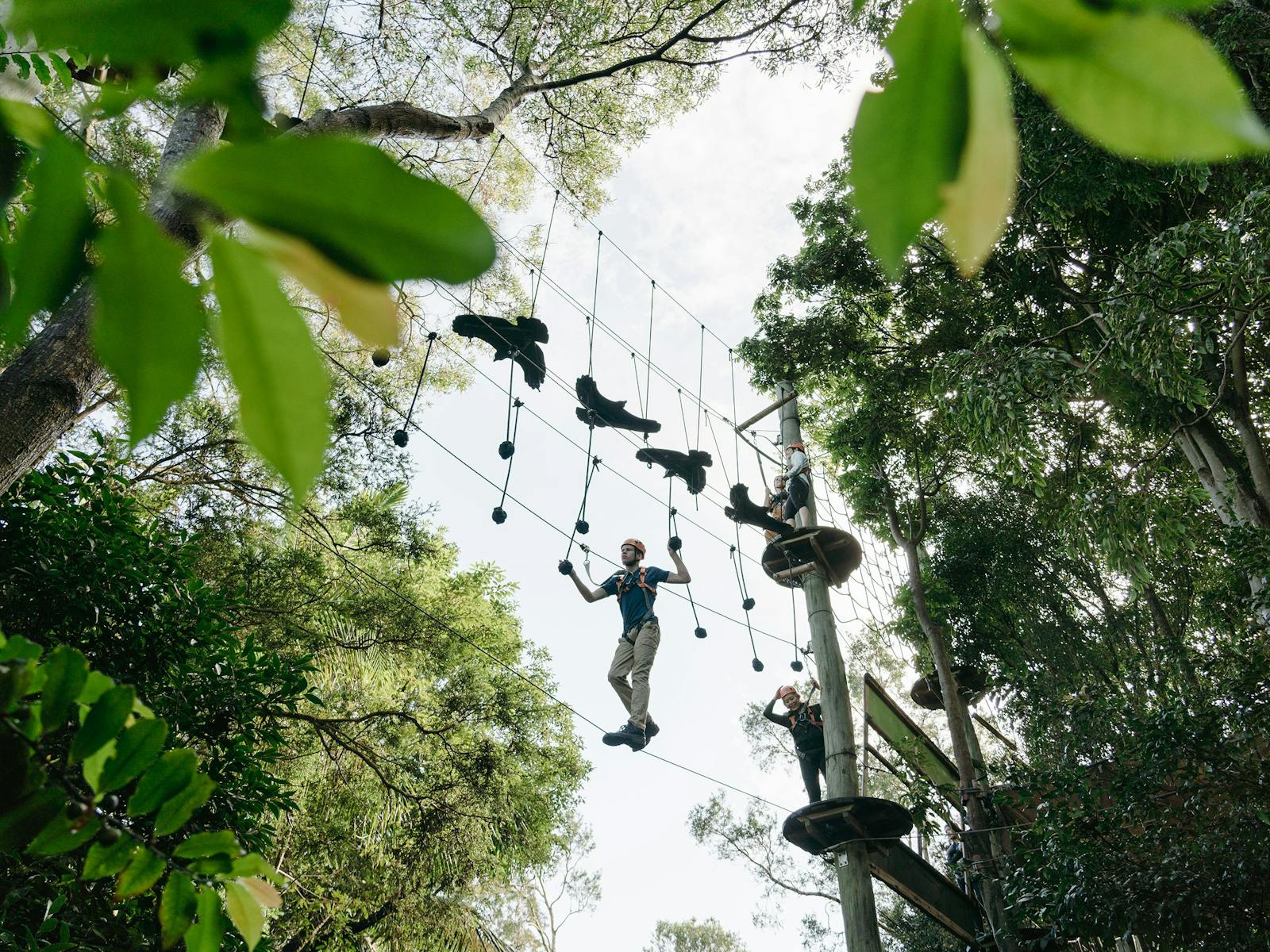 Wild Ropes Toronga Wild Ropes at Taronga Zoo Sydney | Sydney, Australia - Official Travel ...