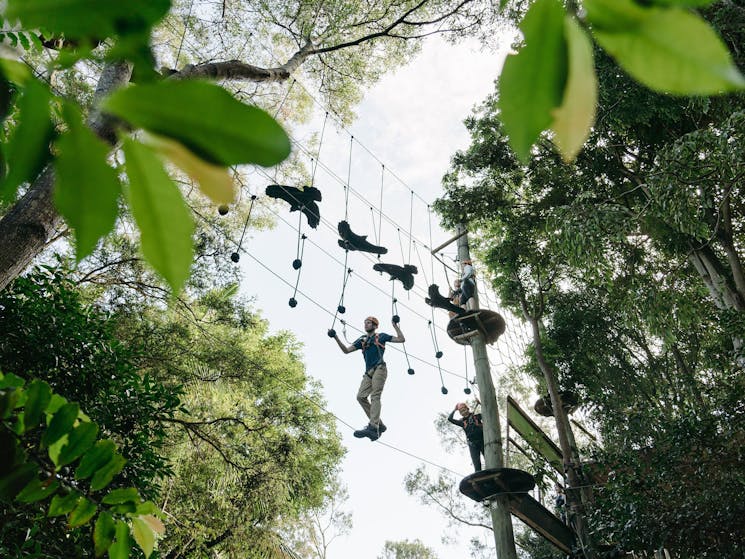 Wild Ropes at Taronga Zoo Sydney - Adults and Juniors Course