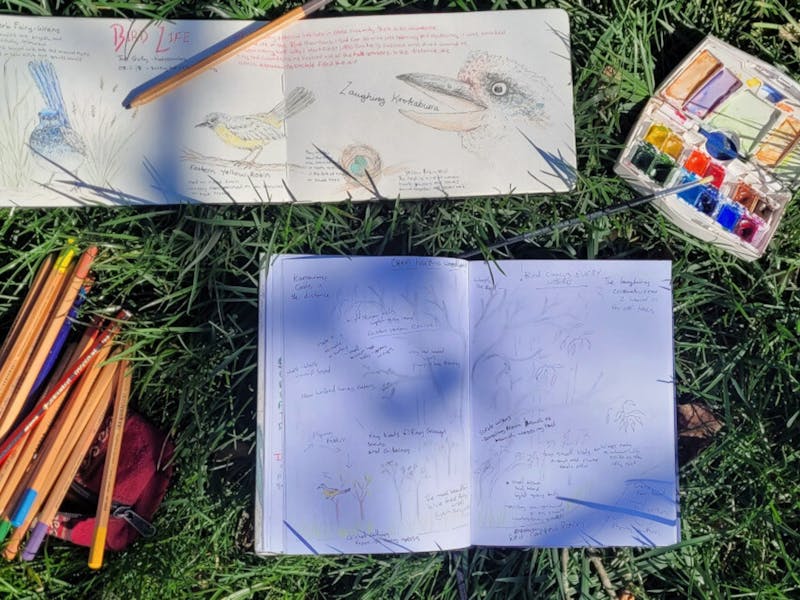 Image for Nature Journaling at Mount Tomah