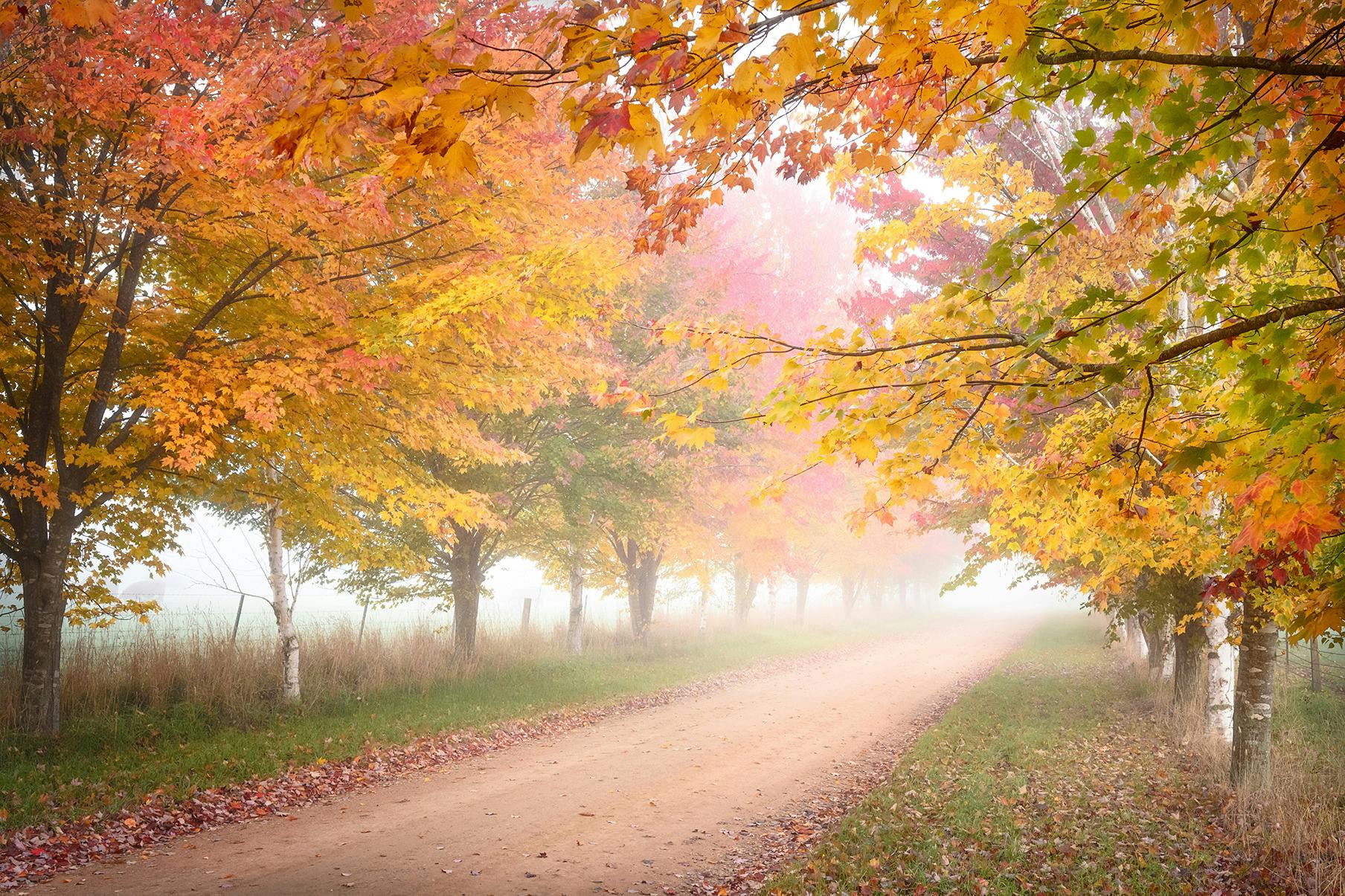 Photograph of the Buckland Valley in Autumn by Mieke Boynton