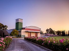 Balnaves of Coonawarra Winery and roses