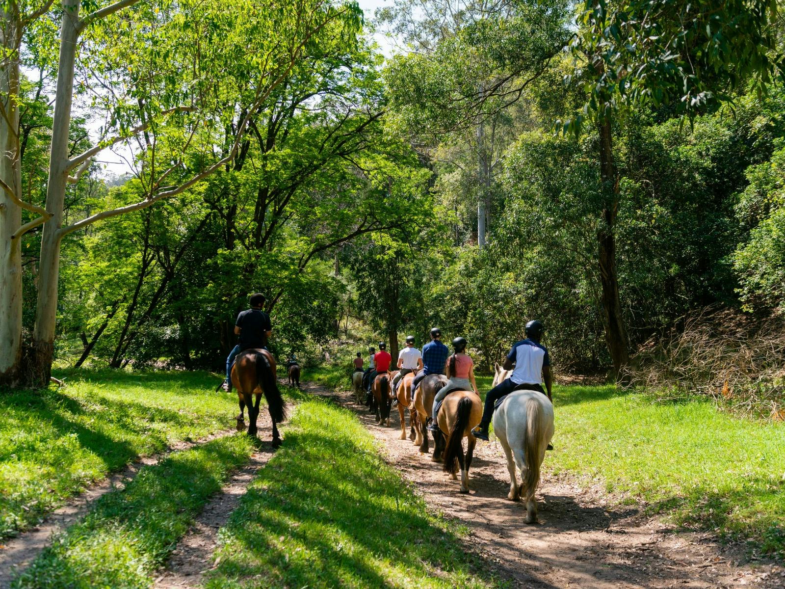 Glenworth Valley Wilderness Adventures Horse Riding