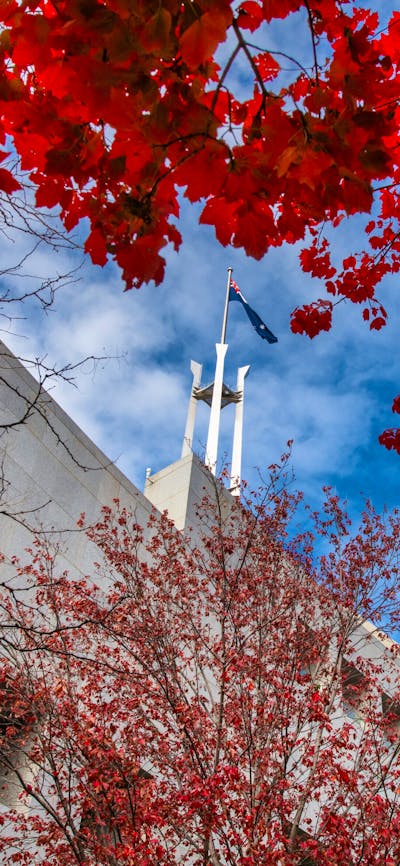 Looking up at the Parliament House flag pole, autumn leaves frame the shot