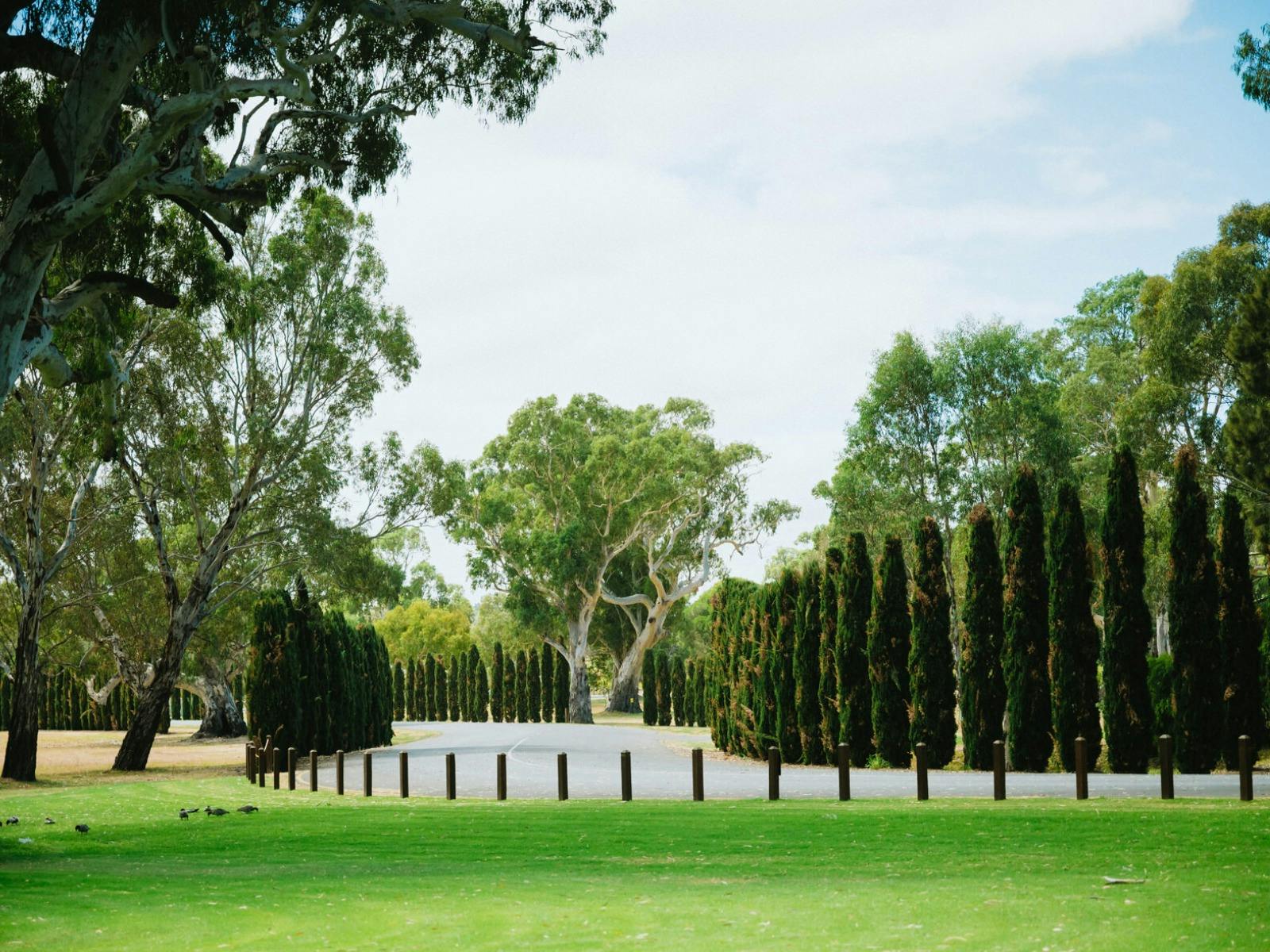 serafino grounds