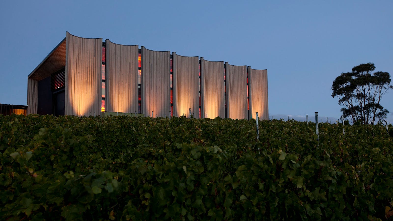 Moorilla - Ultimate Winery Experiences Australia