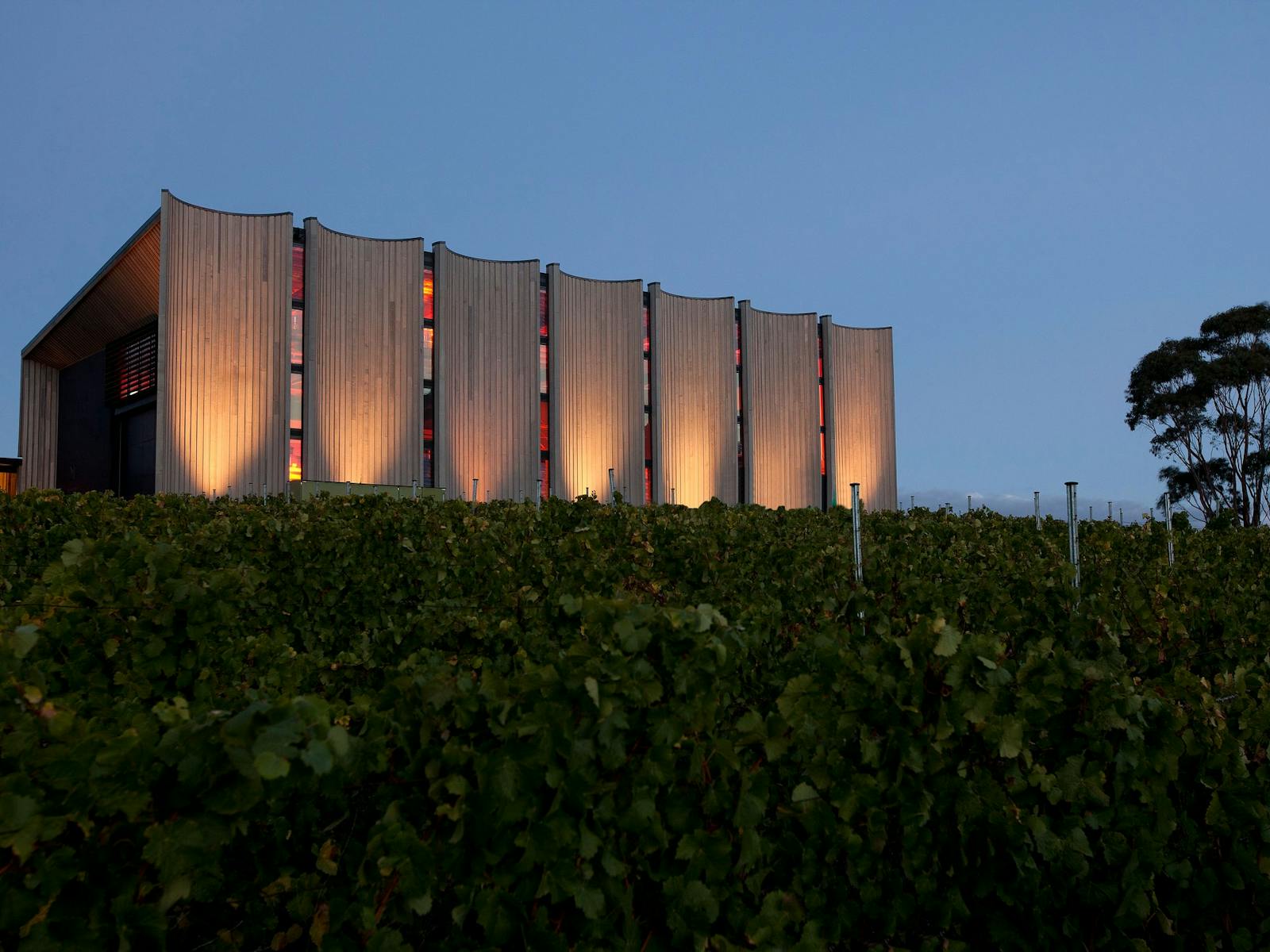 Moorilla - Ultimate Winery Experiences Australia