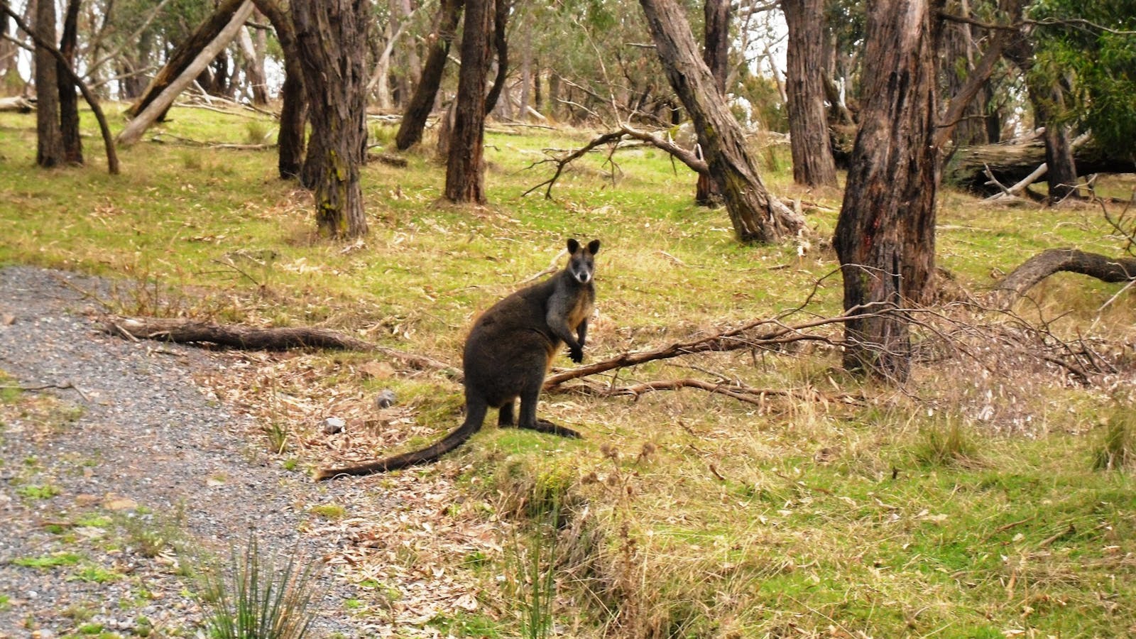 Churchill National Park