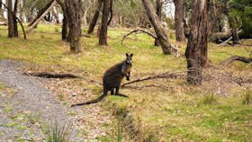 Churchill National Park