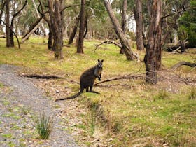 Churchill National Park