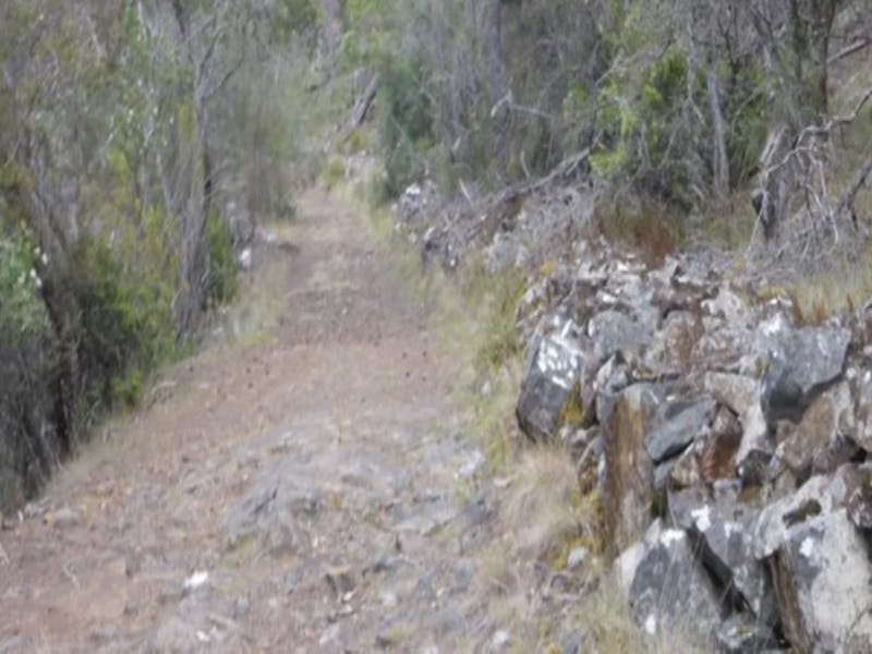 Old Convict Road, Orford - Walk