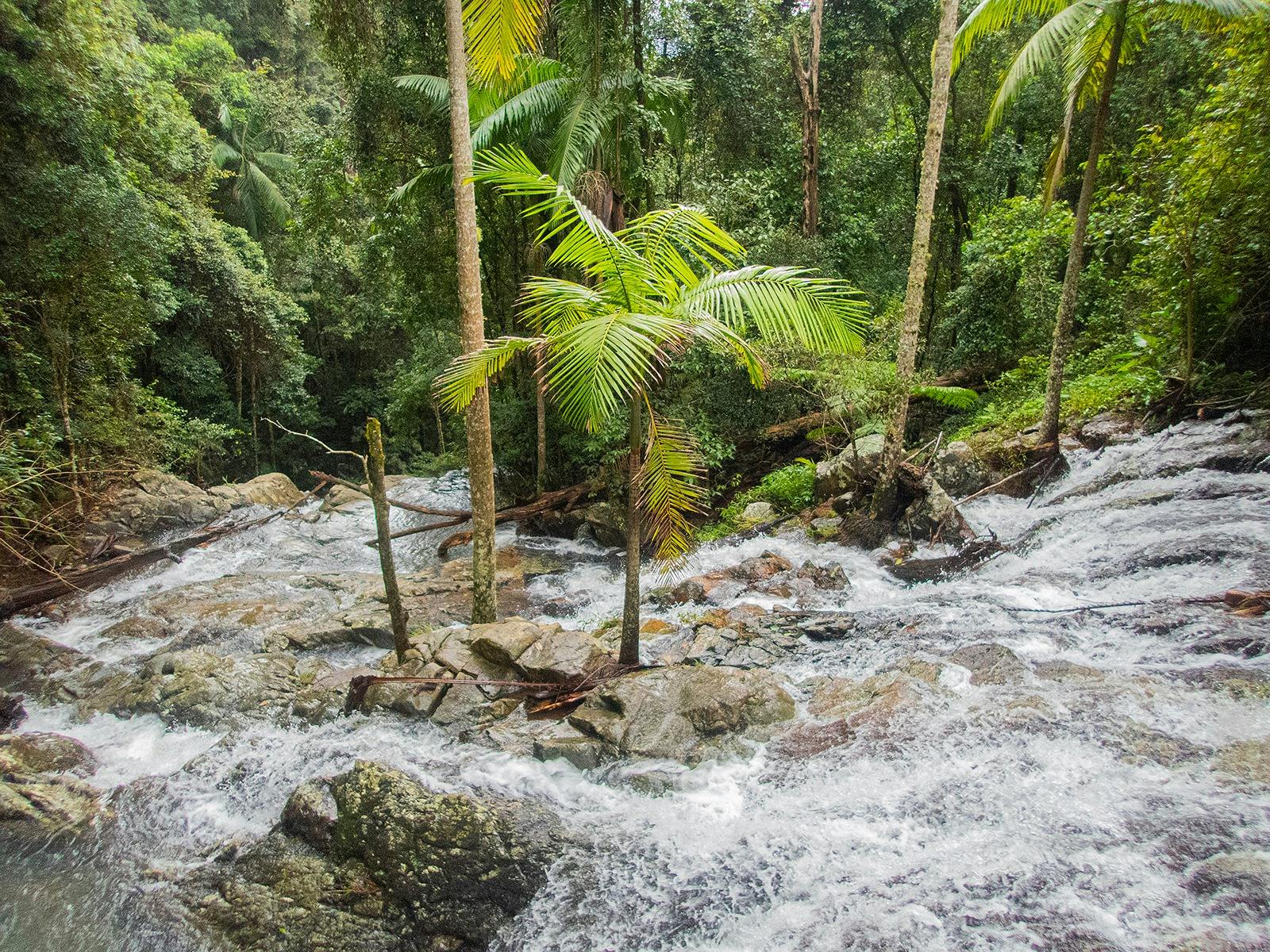 Green Falls D'Aguilar National Park