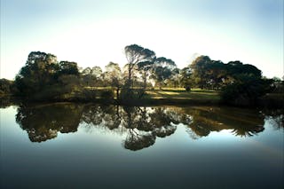 Parramatta Park