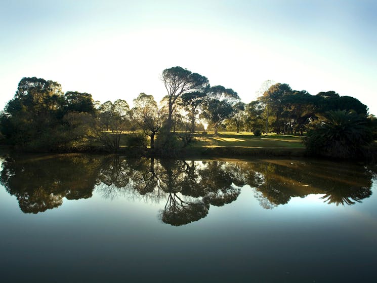 Parramatta Park