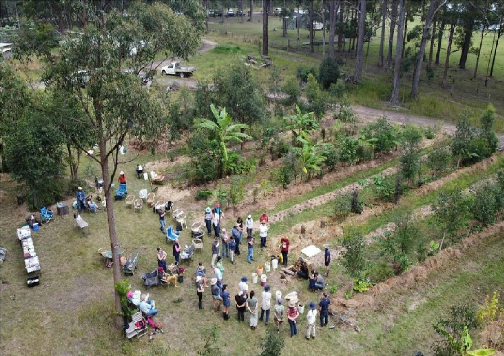 Syntropic Agroforestry with Syntropic Solutions