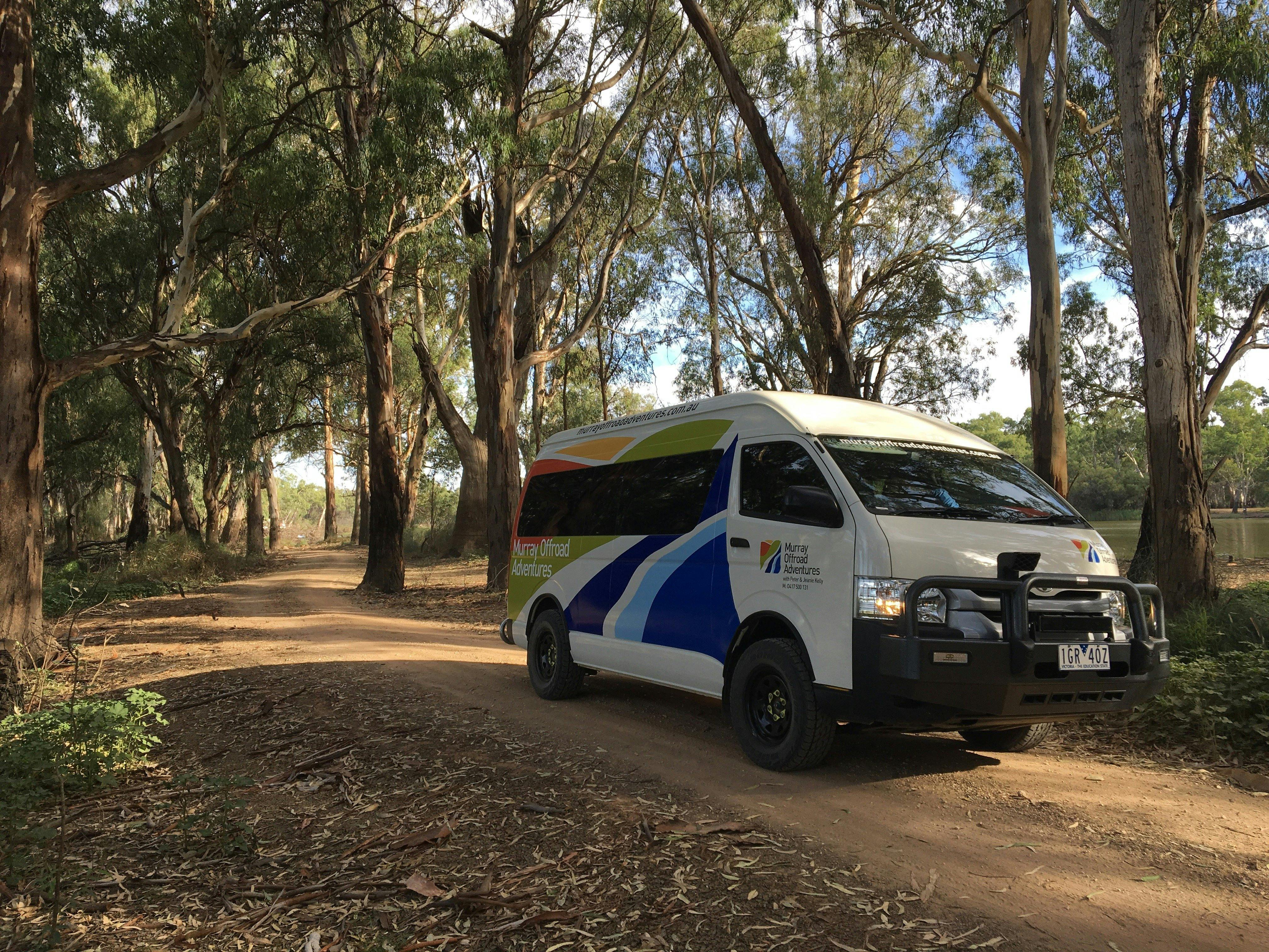 Delightful winding river bush track