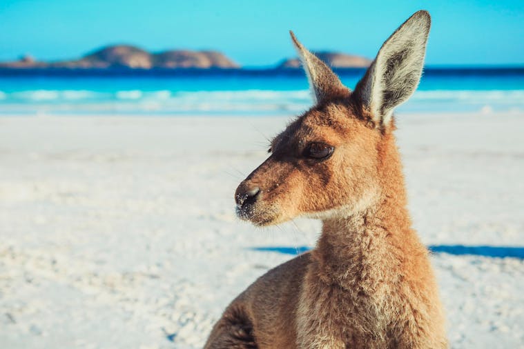 10-Day Adelaide to Perth Adventure Tour