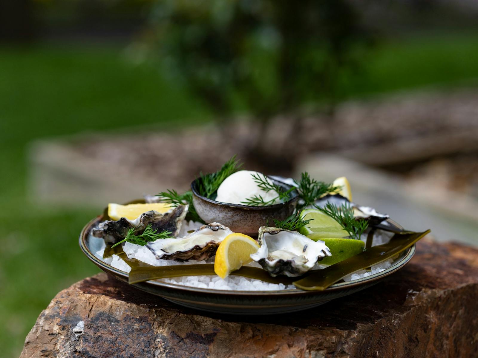 A plate of oysters with lemon wedges and homemade sorbet on a wooden stump
