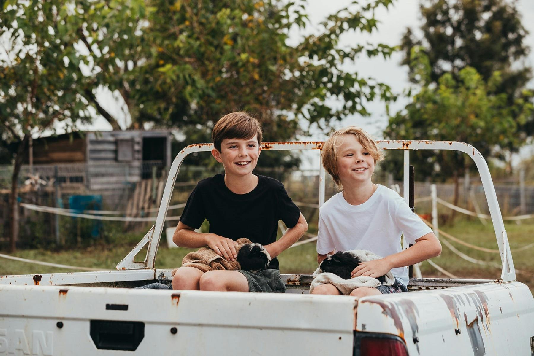 Purple Pear Farm Fun