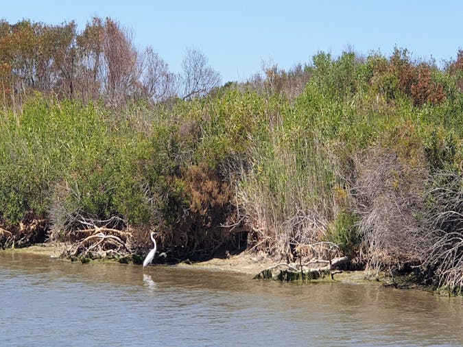 Coorong Your Way