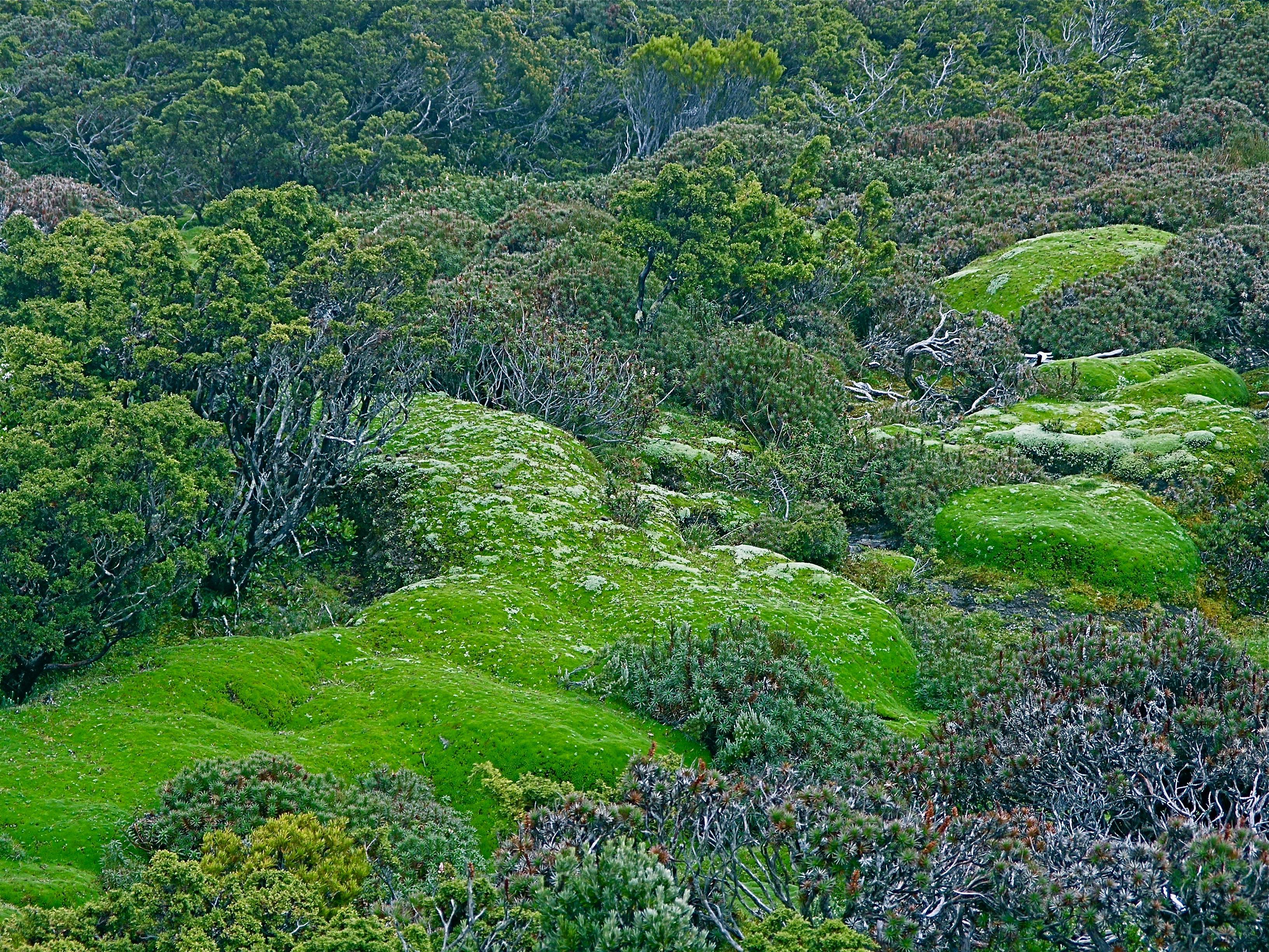 Nature Bound Australia - Tasmania