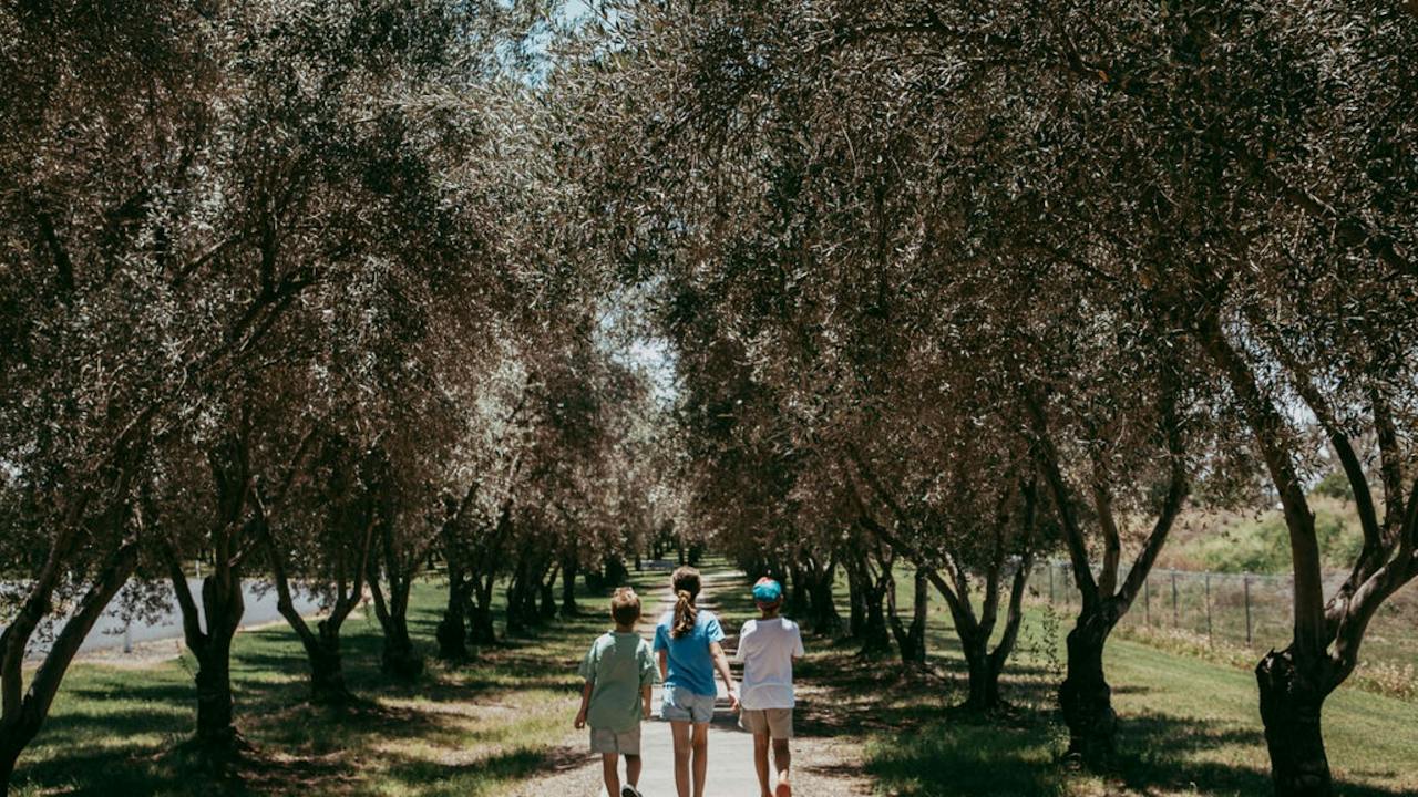 Inglewood Olive Walkway