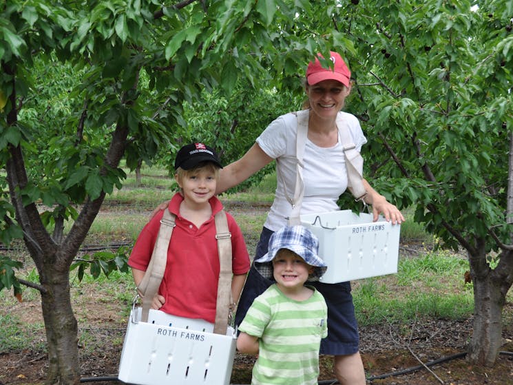 Cherry farming family