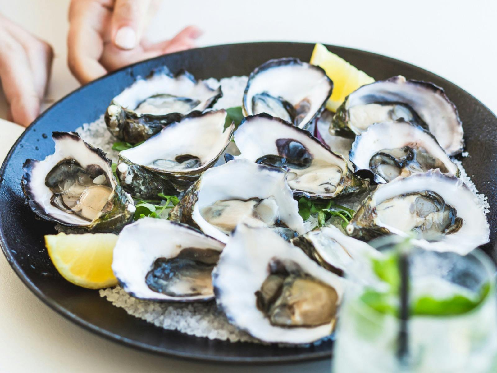 Tempest Seafood Restaurant and Teppanyaki