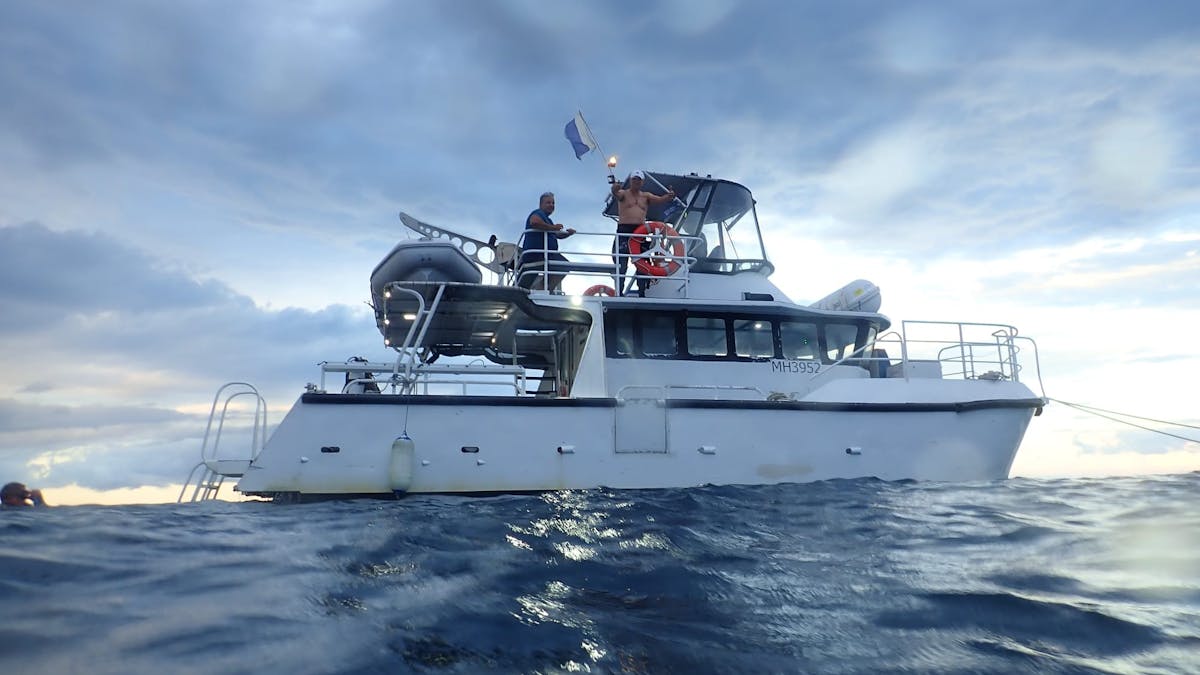Ocean Adventurer