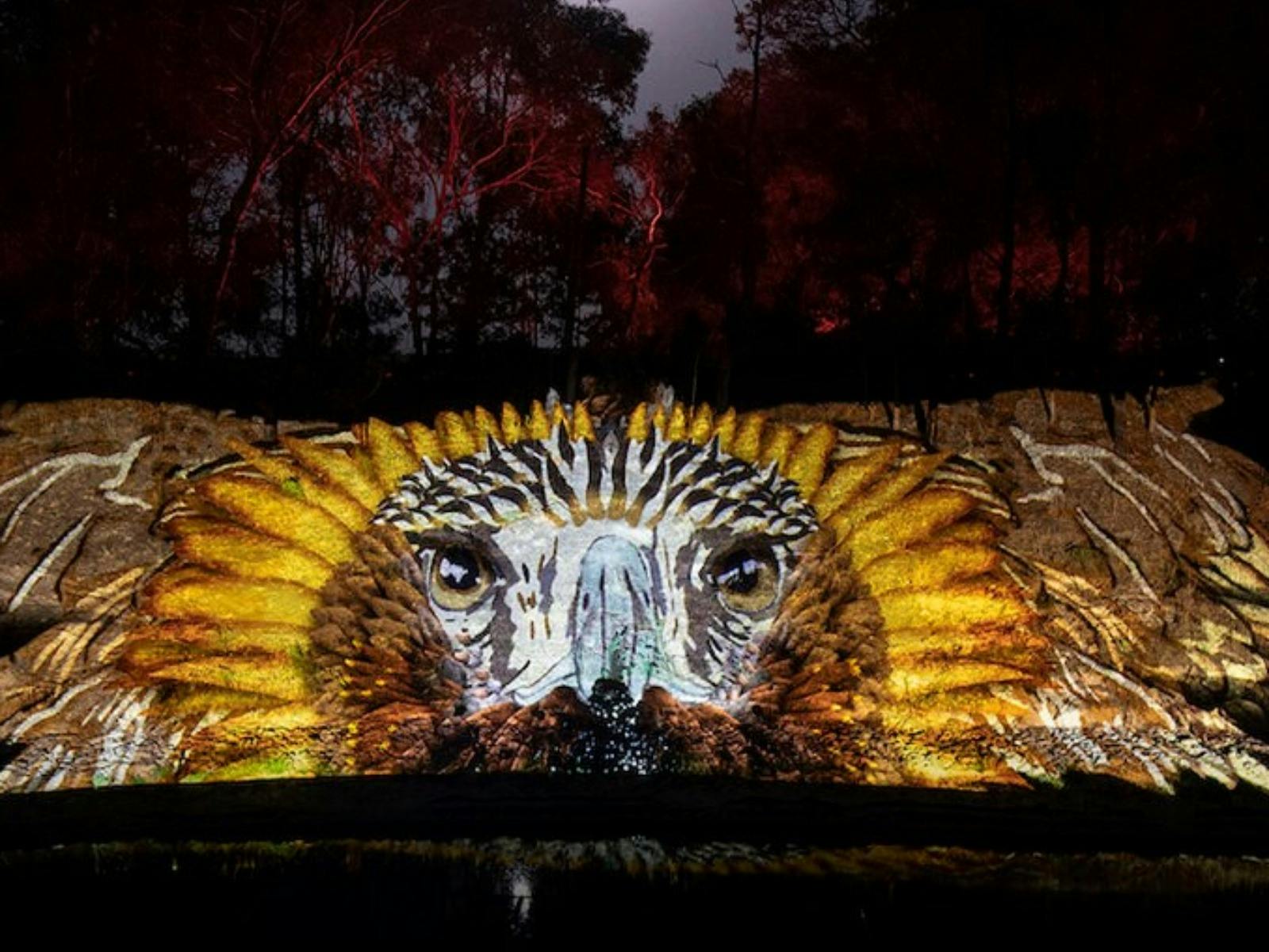 AURA Sound and Light Show at Sovereign Hill
