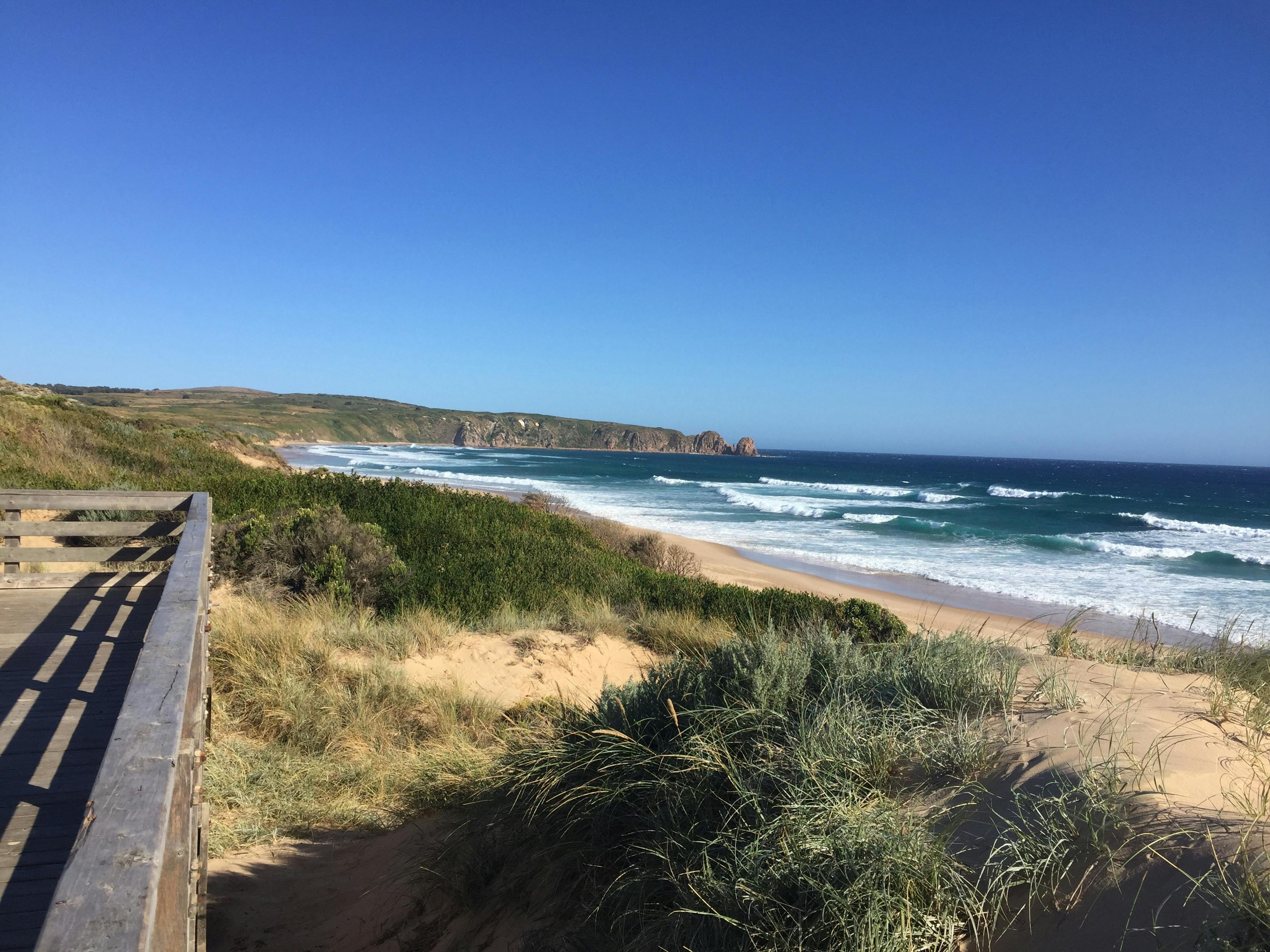 Home of the Penguins