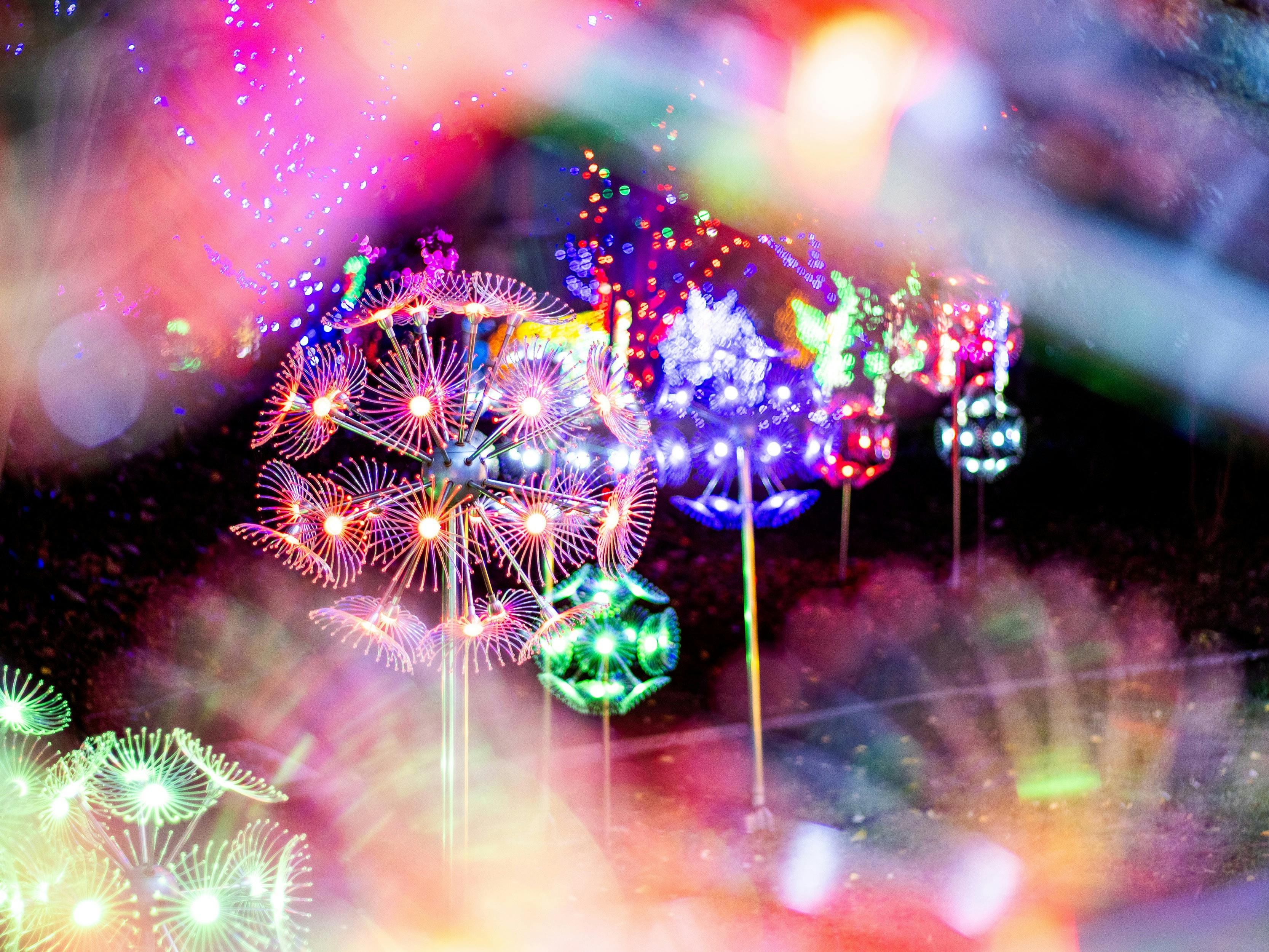 New Year's Eve at Hunter Valley Gardens
