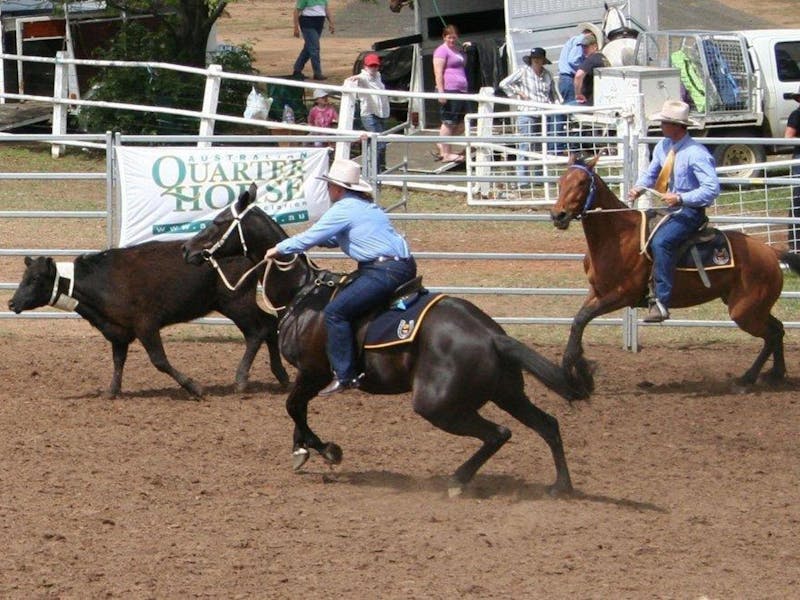 Dalgety Team Penning
