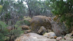 Dergholm State Park