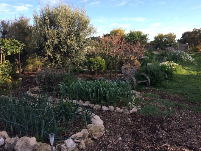 Introduction to Permaculture course