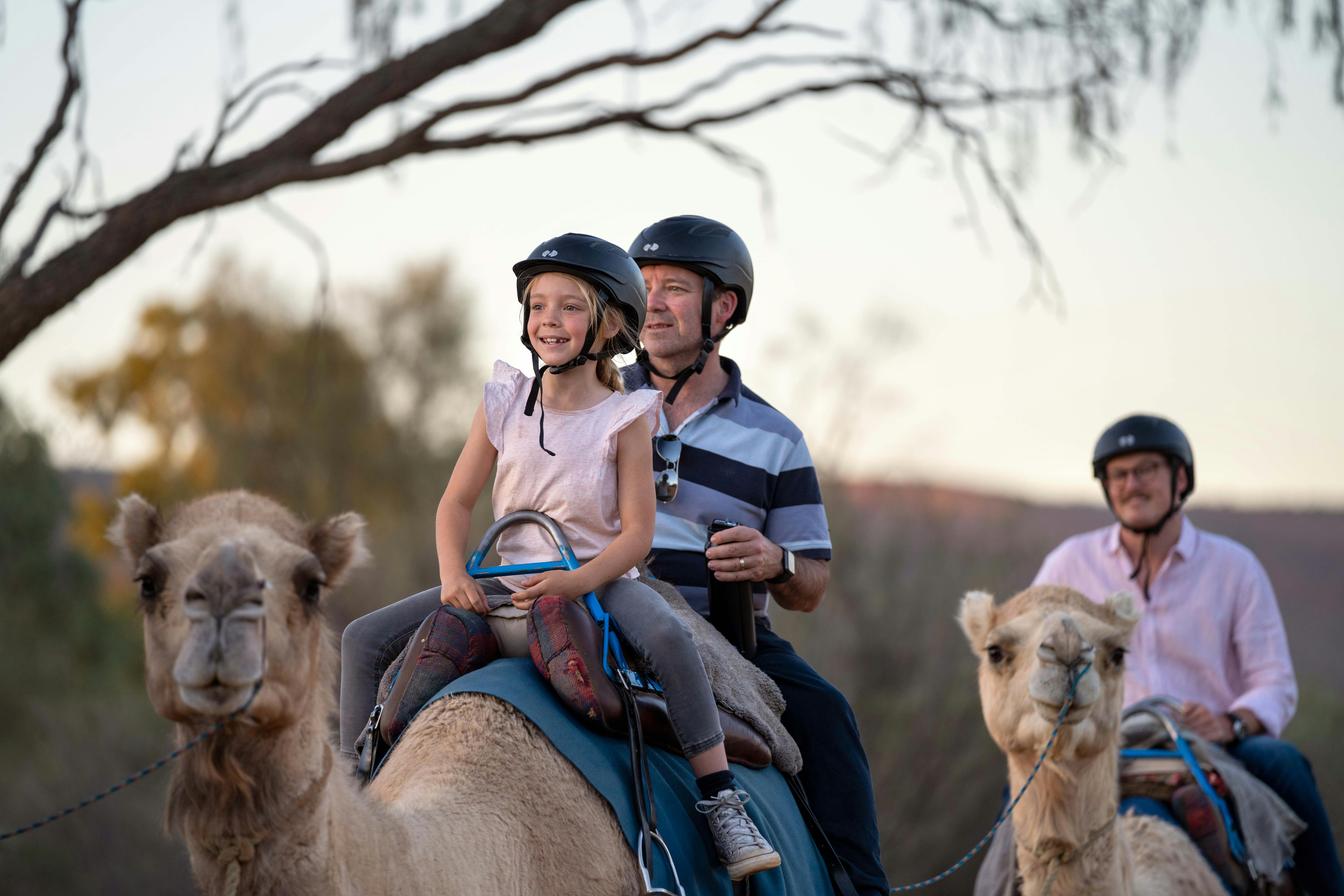Family riding 2 camels at sunset
