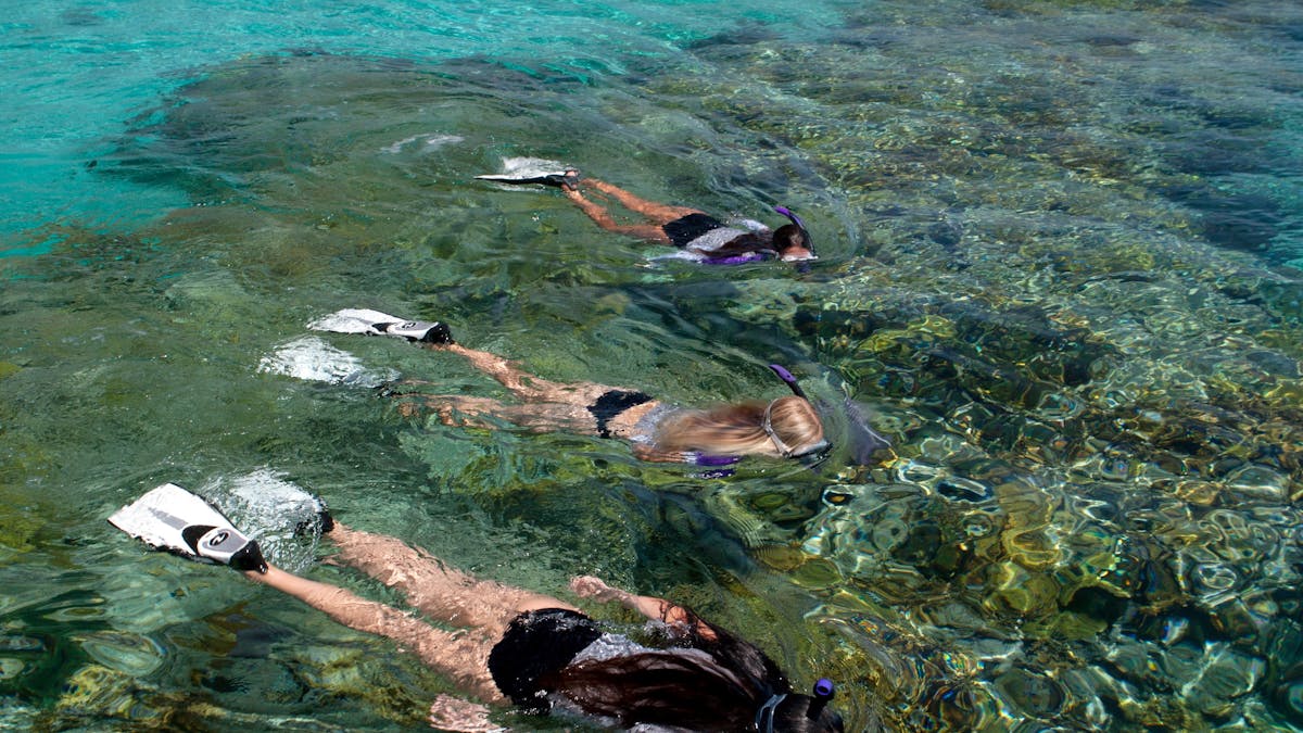 Snorkelers