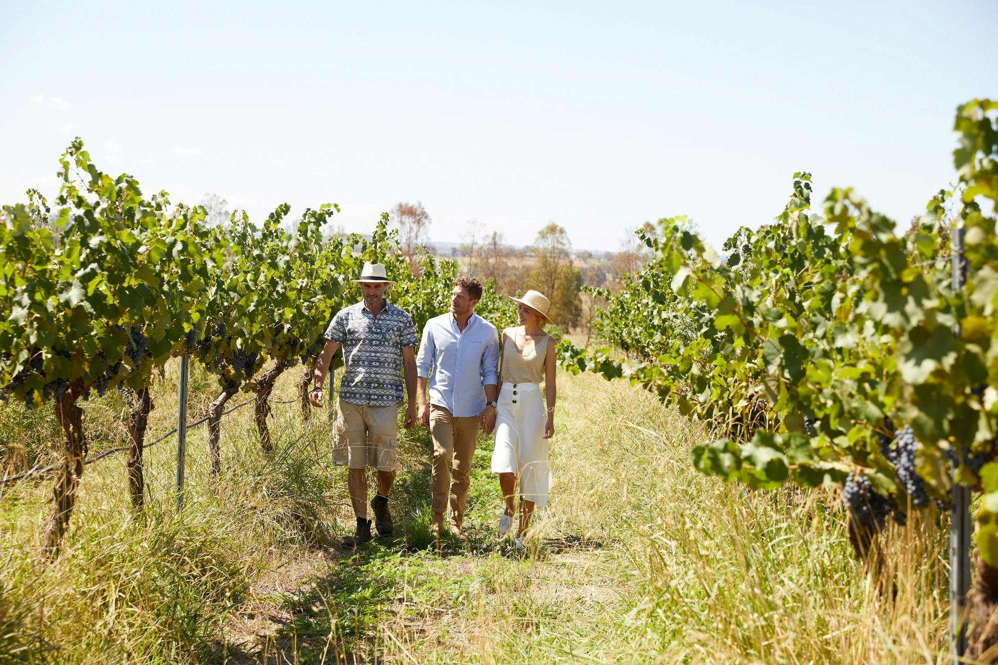 Farm Tour at Rosnay edit