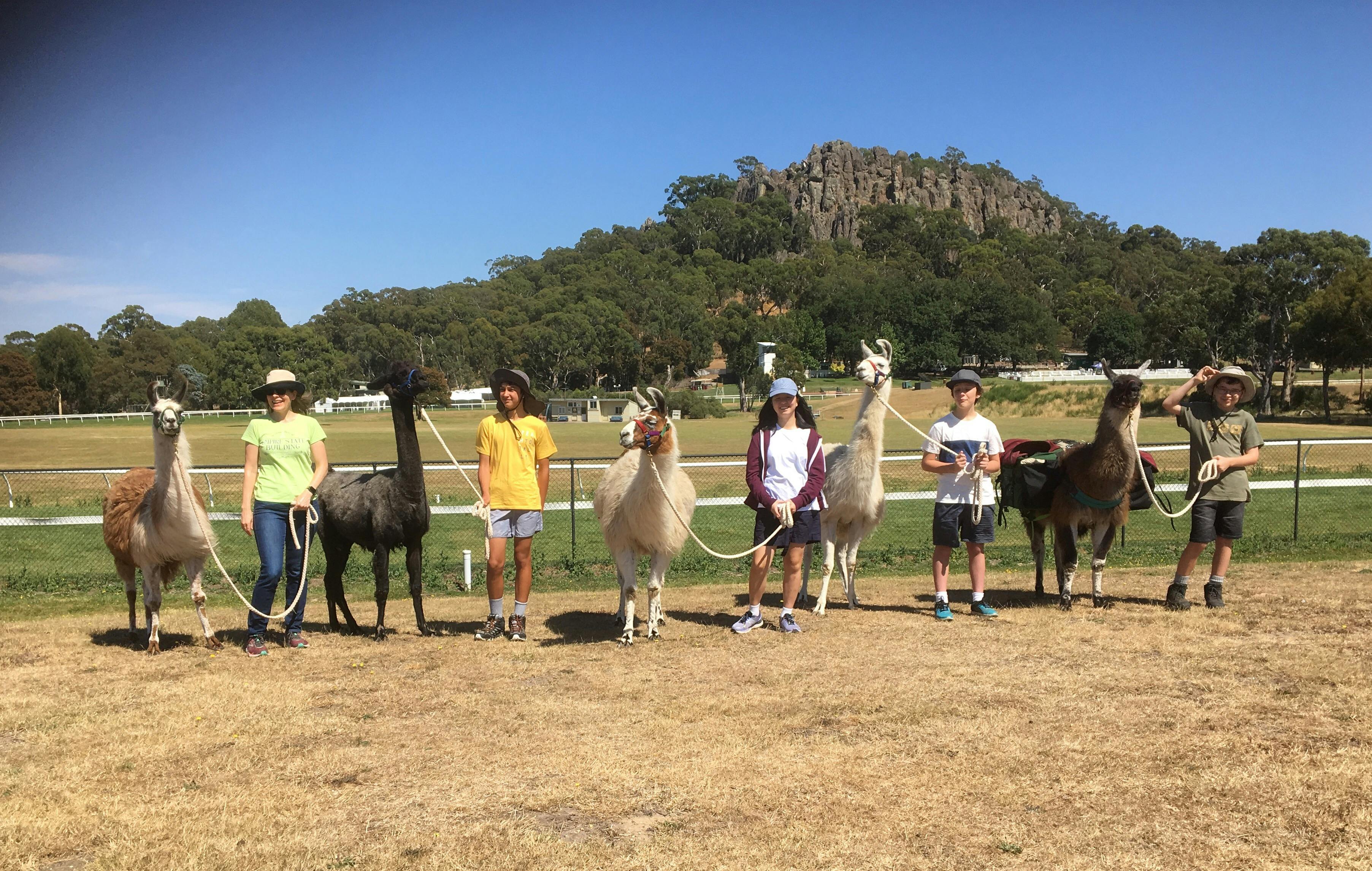 Hanging Rock Reserve Llama Trek