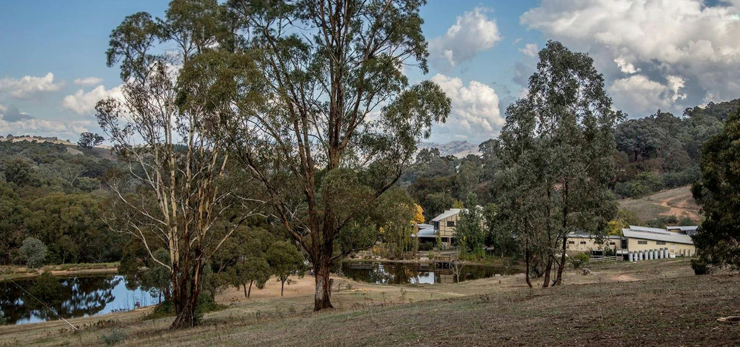 house surrounded by bushland