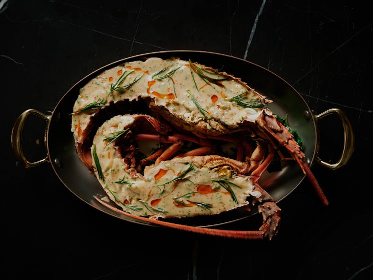Brasserie 1930 Eastern Rock Lobster
