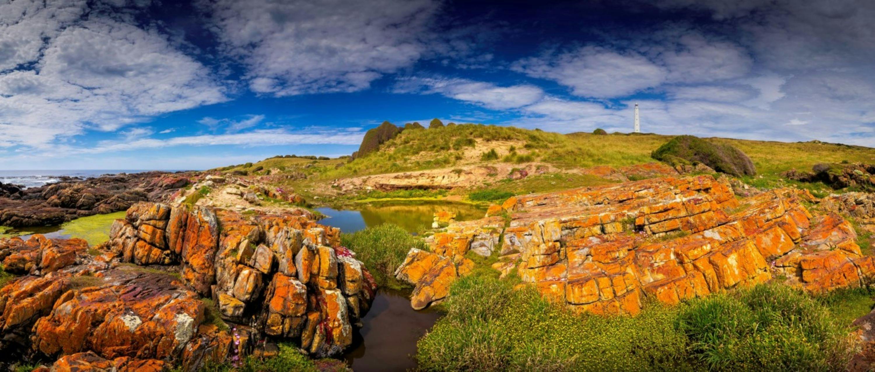King Island Tours