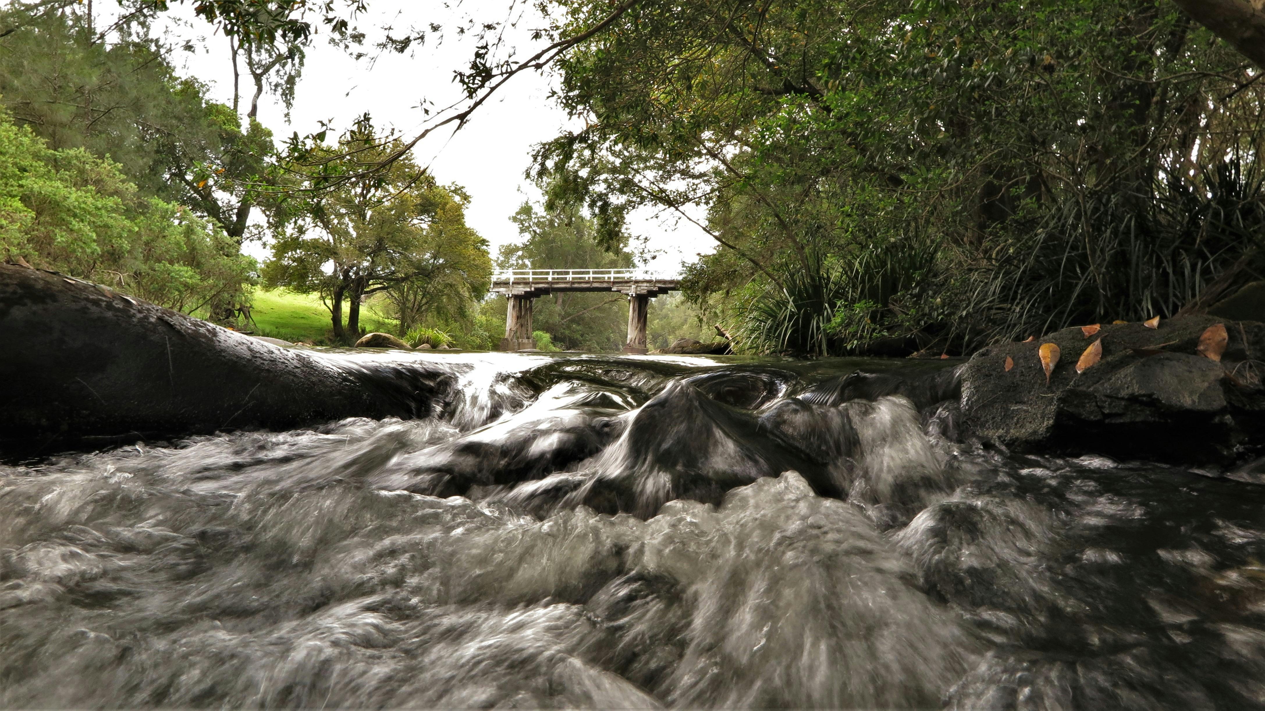 Williams River