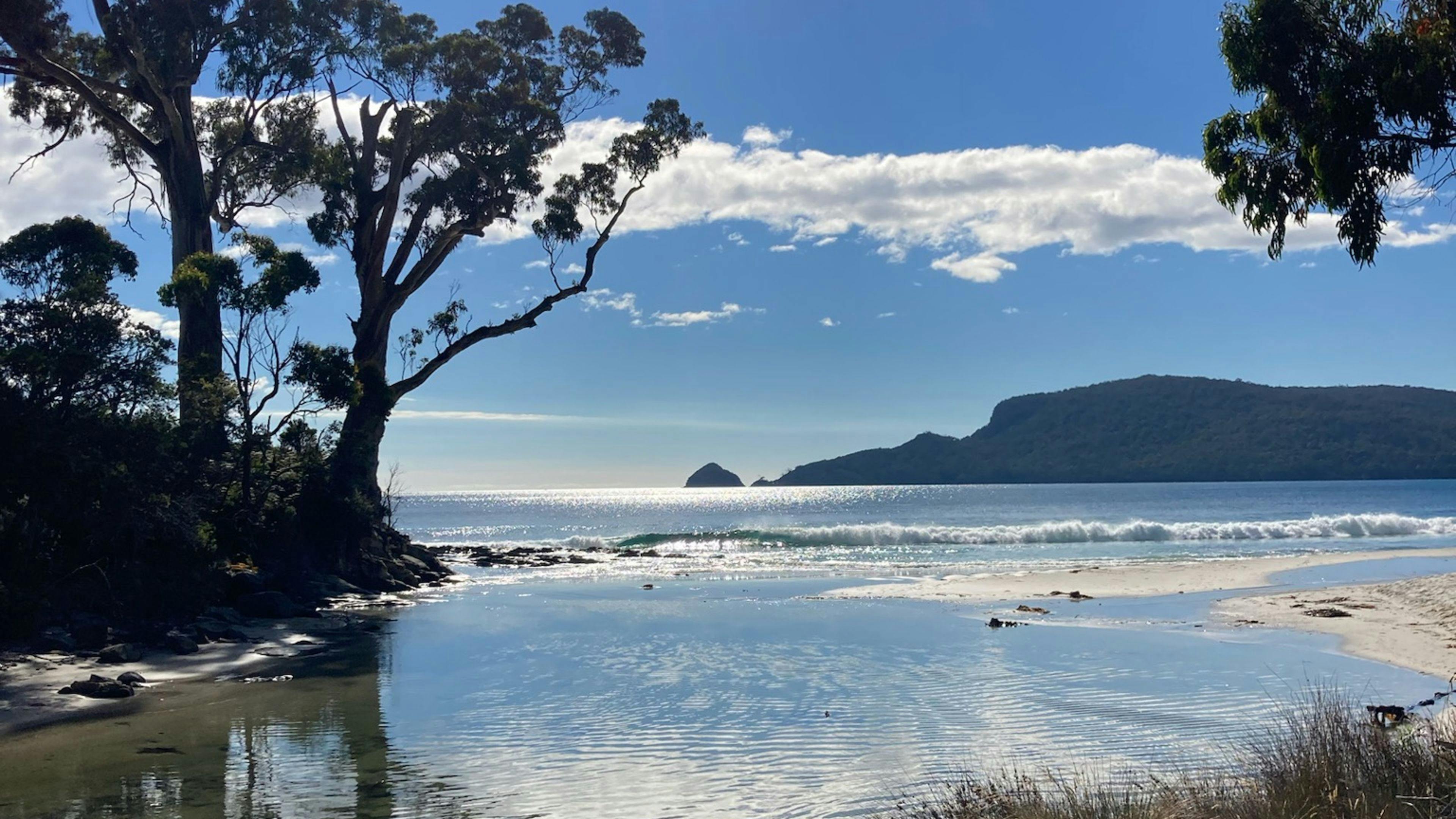 Woodleigh - where beach meets bush