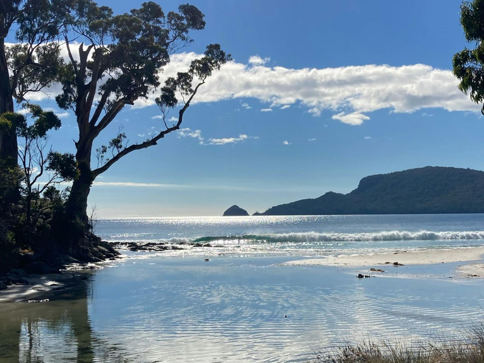 Woodleigh - where beach meets bush