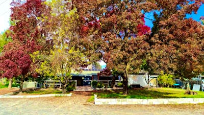 Cellar door in Autumn
