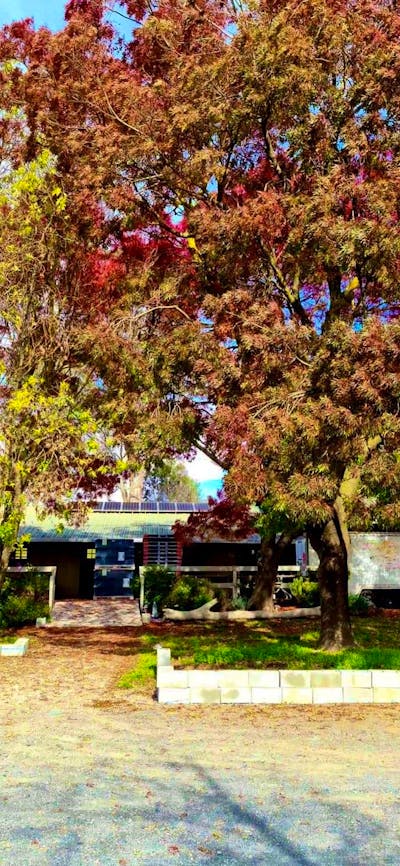 Cellar door in Autumn